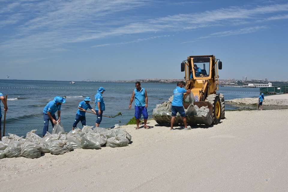 Kıyı ve Plaj Temizliği 10